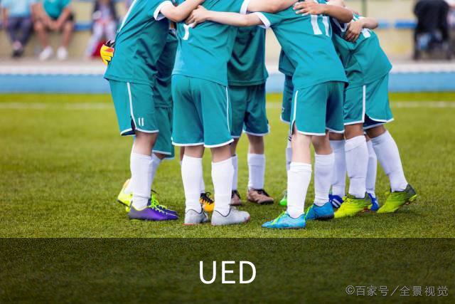 UED 公司简介